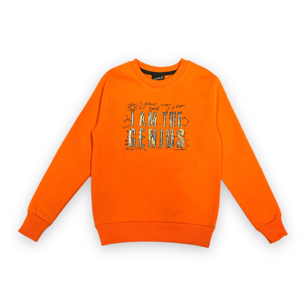 Boys Sweatshirt Genuis Orange